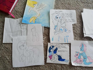 Middle School Collection
